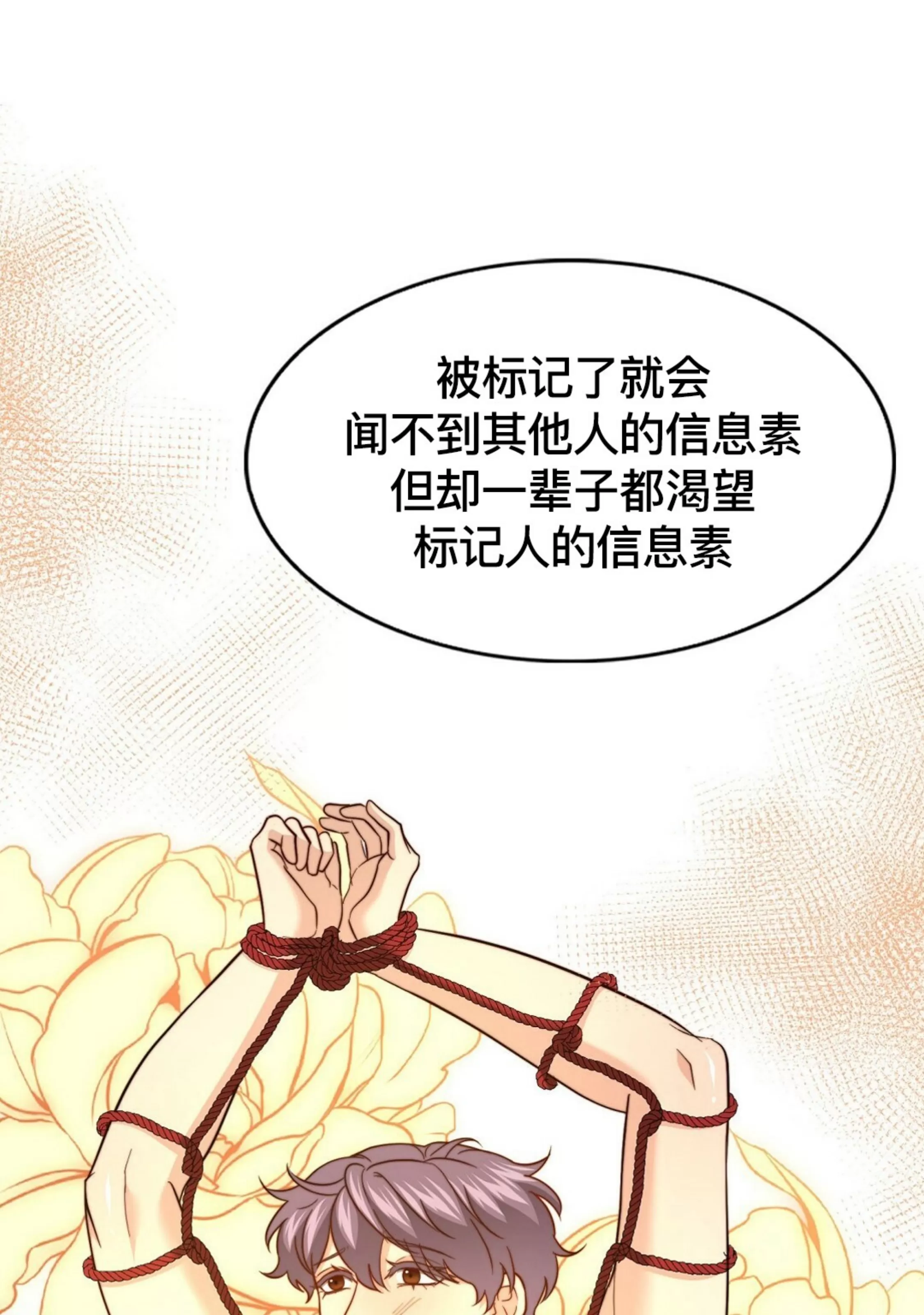 《劣质Omega的秘密/K的秘密/劣质欧米伽的秘密》漫画最新章节第62话免费下拉式在线观看章节第【4】张图片