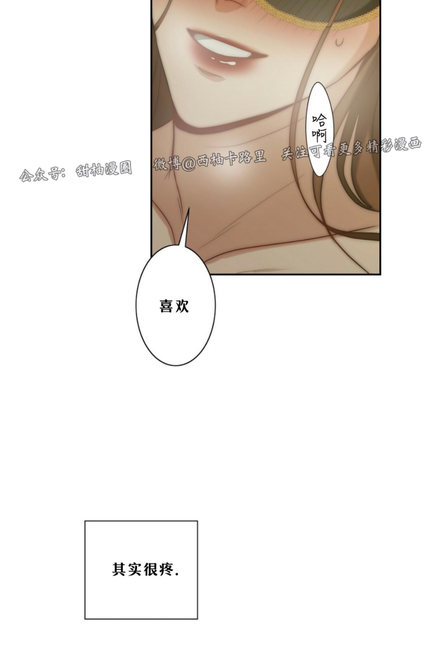 《劣质Omega的秘密/K的秘密/劣质欧米伽的秘密》漫画最新章节第6话免费下拉式在线观看章节第【7】张图片