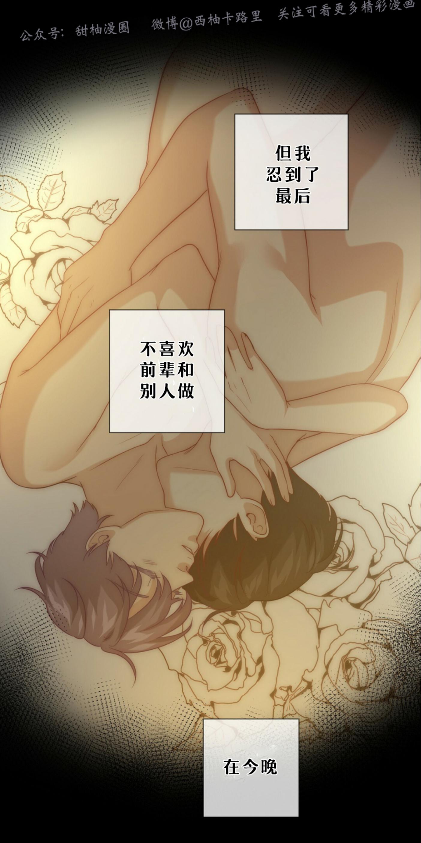 《劣质Omega的秘密/K的秘密/劣质欧米伽的秘密》漫画最新章节第6话免费下拉式在线观看章节第【77】张图片