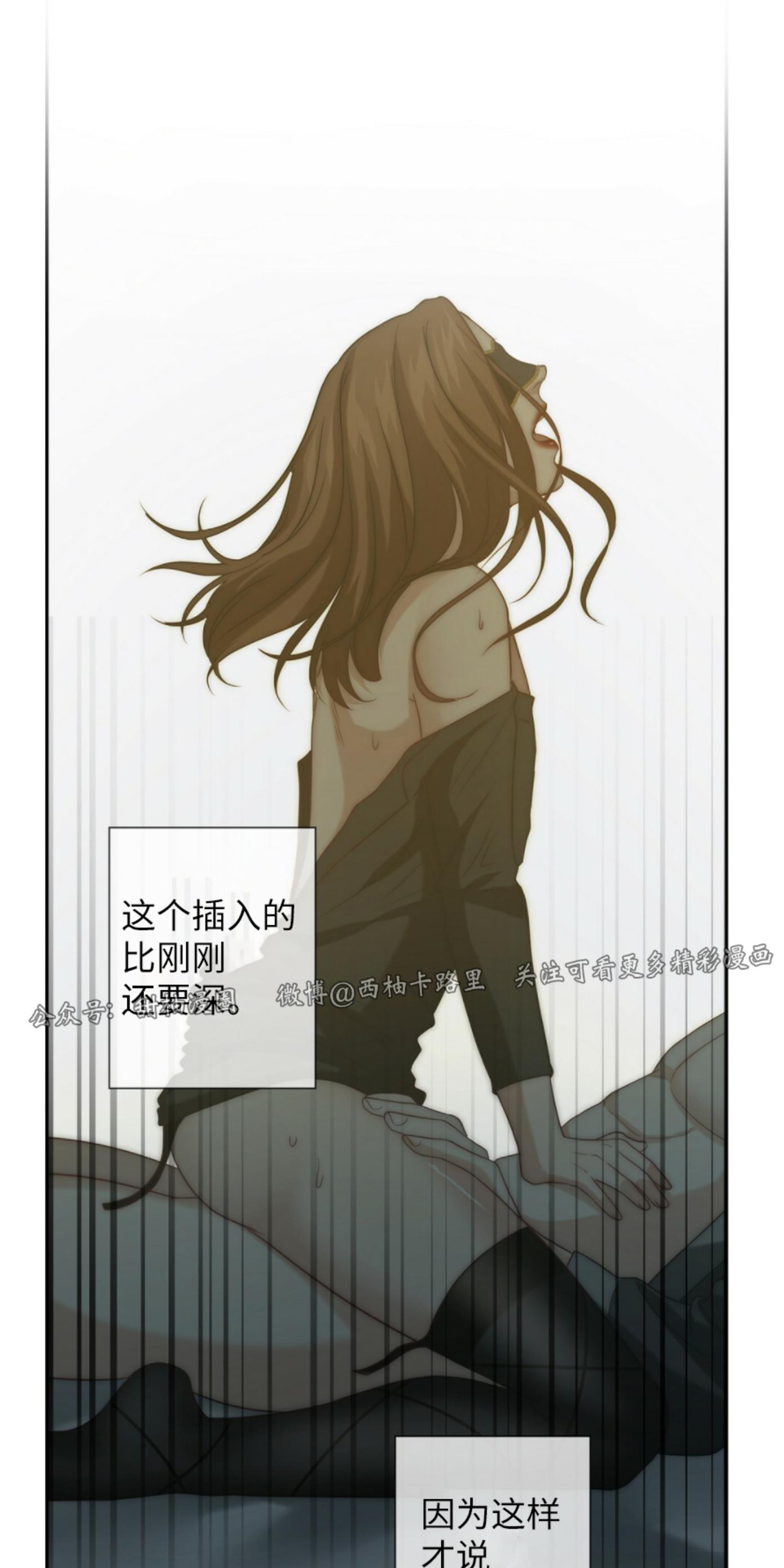 《劣质Omega的秘密/K的秘密/劣质欧米伽的秘密》漫画最新章节第5话免费下拉式在线观看章节第【66】张图片