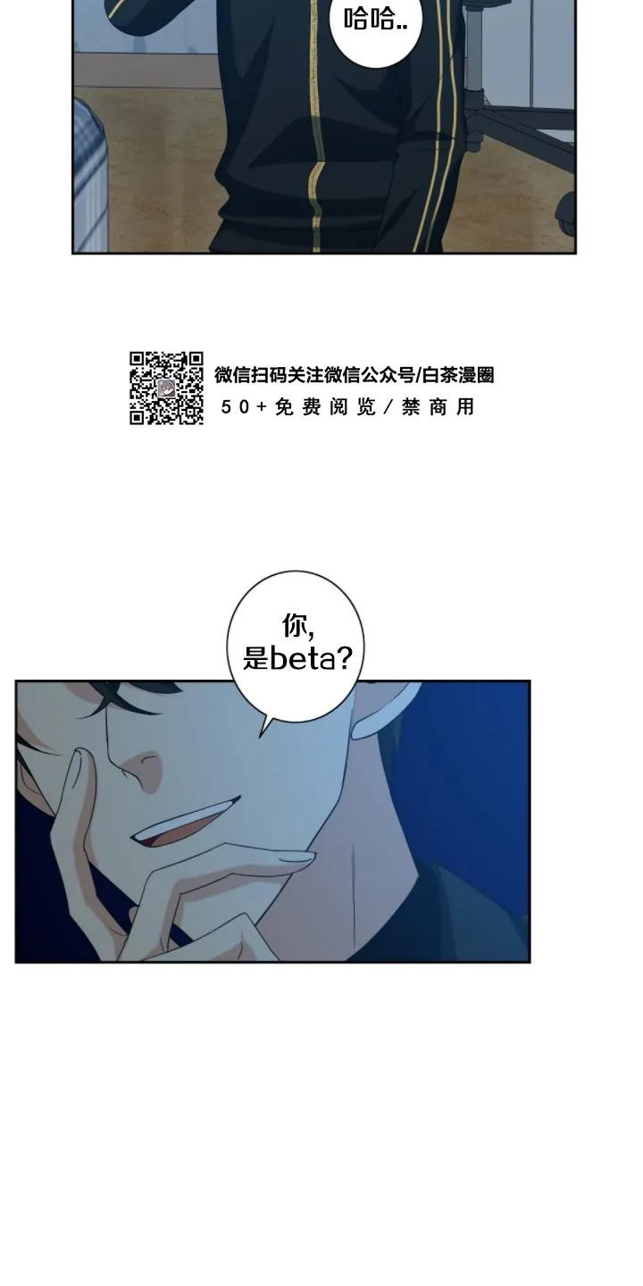 《劣质Omega的秘密/K的秘密/劣质欧米伽的秘密》漫画最新章节第17话免费下拉式在线观看章节第【6】张图片