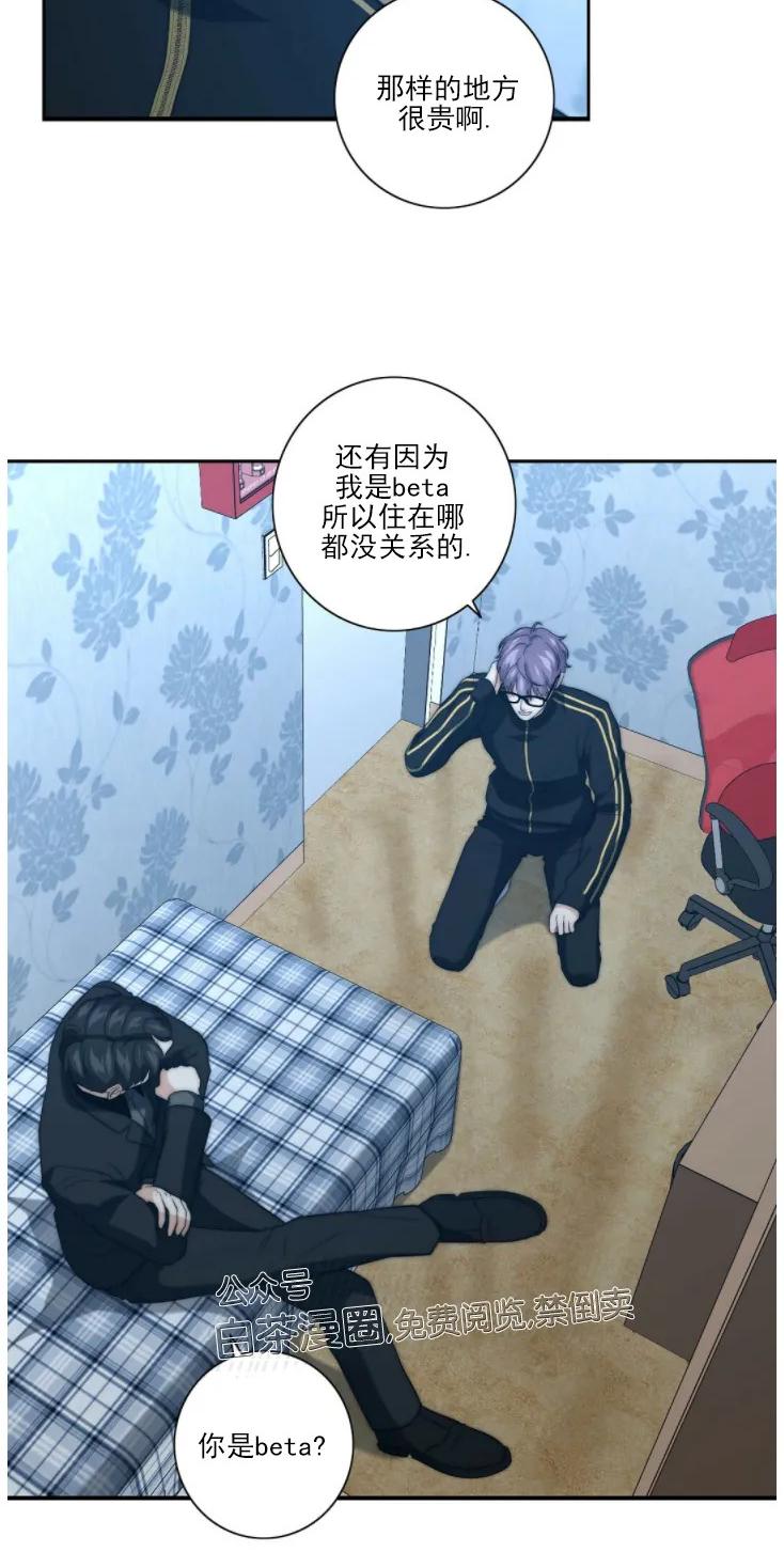 《劣质Omega的秘密/K的秘密/劣质欧米伽的秘密》漫画最新章节第16话免费下拉式在线观看章节第【51】张图片