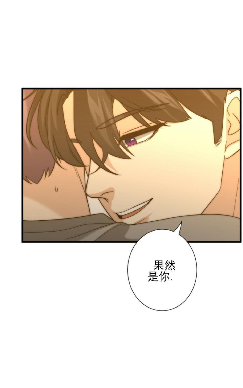 《劣质Omega的秘密/K的秘密/劣质欧米伽的秘密》漫画最新章节第20话免费下拉式在线观看章节第【24】张图片