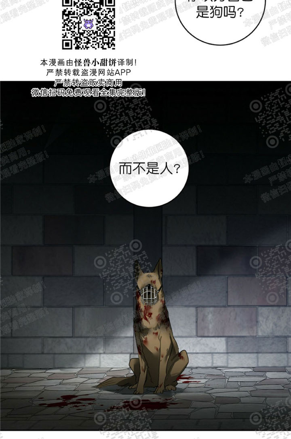 《杀人魔的浪漫晚餐/杀人魔罗威尔的浪漫定食》漫画最新章节第36话免费下拉式在线观看章节第【8】张图片