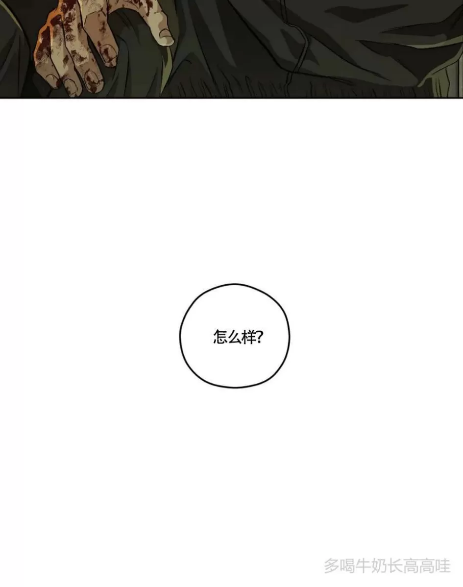 《Liveta/利瓦塔》漫画最新章节第46话免费下拉式在线观看章节第【40】张图片