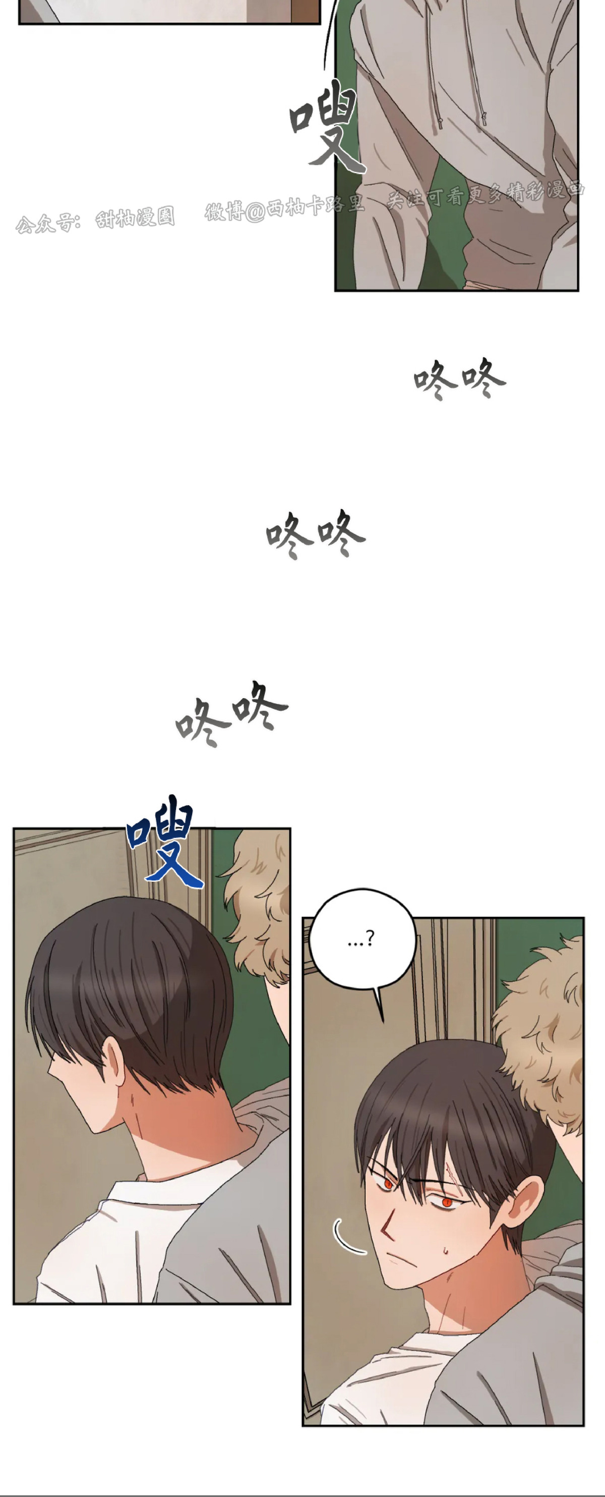 《Liveta/利瓦塔》漫画最新章节第17话免费下拉式在线观看章节第【25】张图片