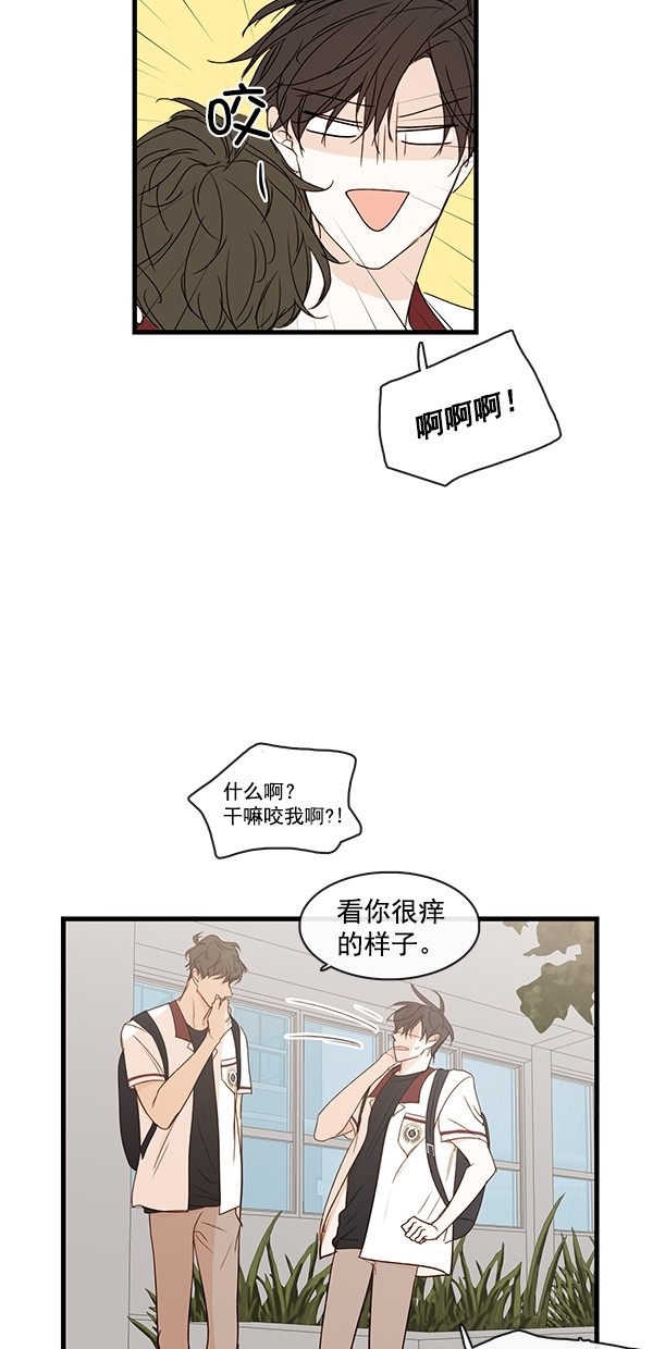 《青苹果乐园》漫画最新章节[第二季] 第34话免费下拉式在线观看章节第【43】张图片