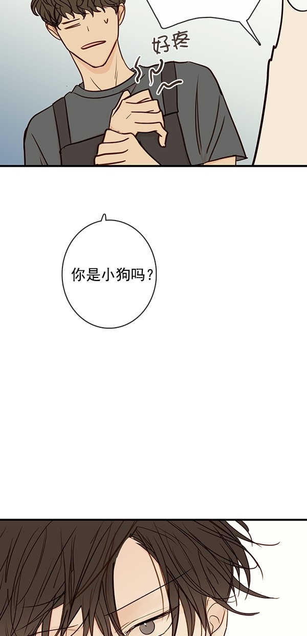 《青苹果乐园》漫画最新章节[第二季] 第39话免费下拉式在线观看章节第【22】张图片