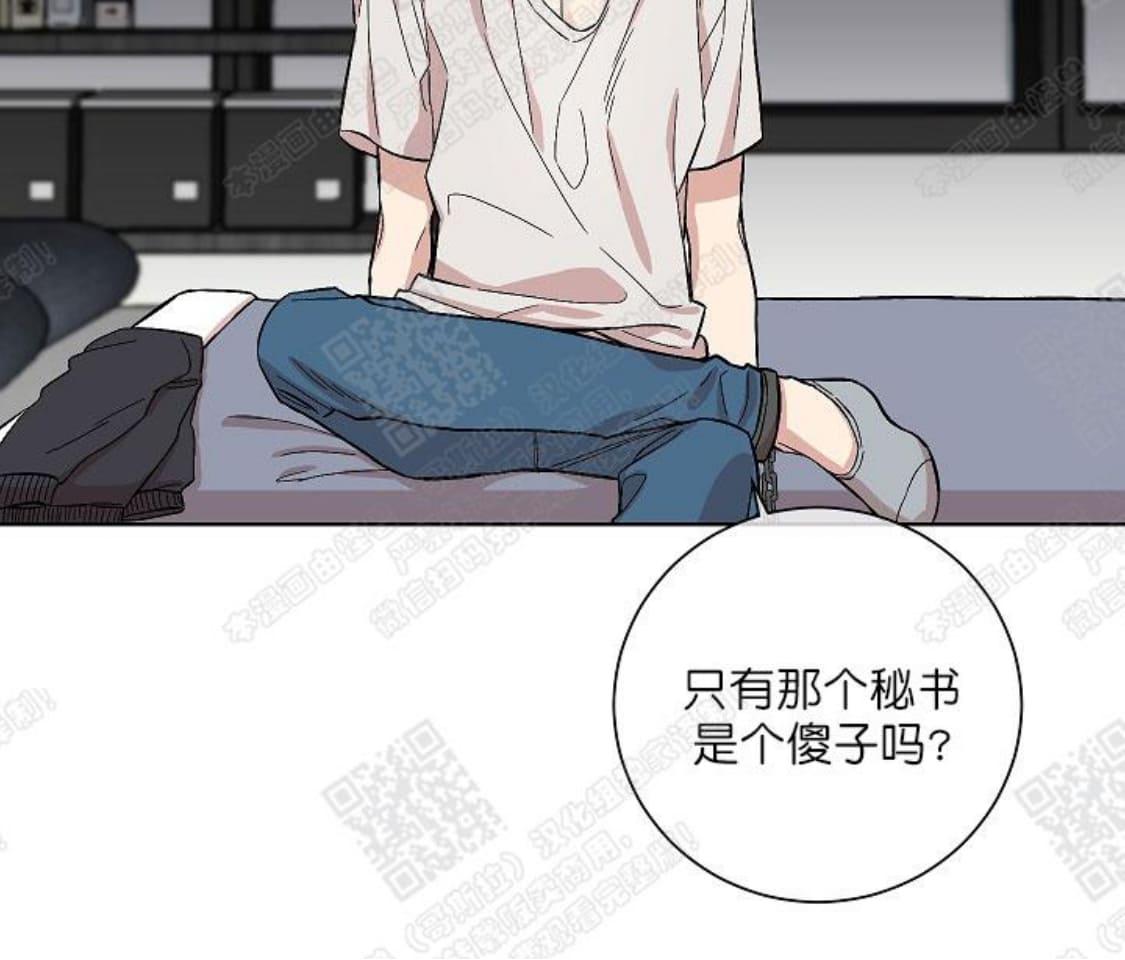 【圈套[腐漫]】漫画-（ 第2话 ）章节漫画下拉式图片-第20张图片