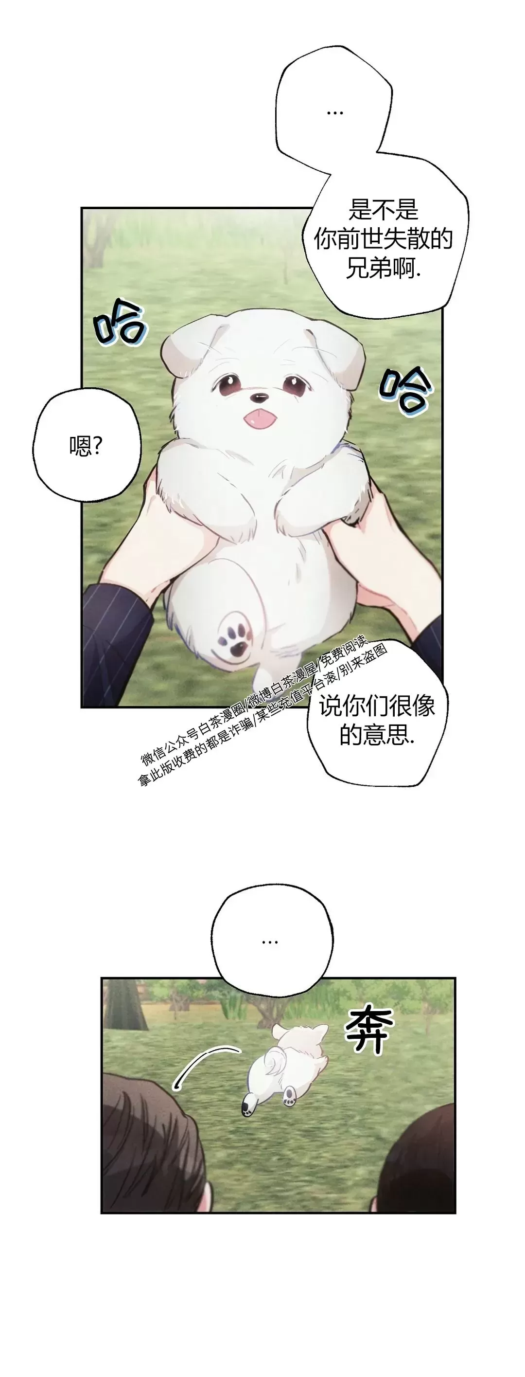 《雷云风雨/雷鸣云涌风雨至》漫画最新章节第41话免费下拉式在线观看章节第【18】张图片