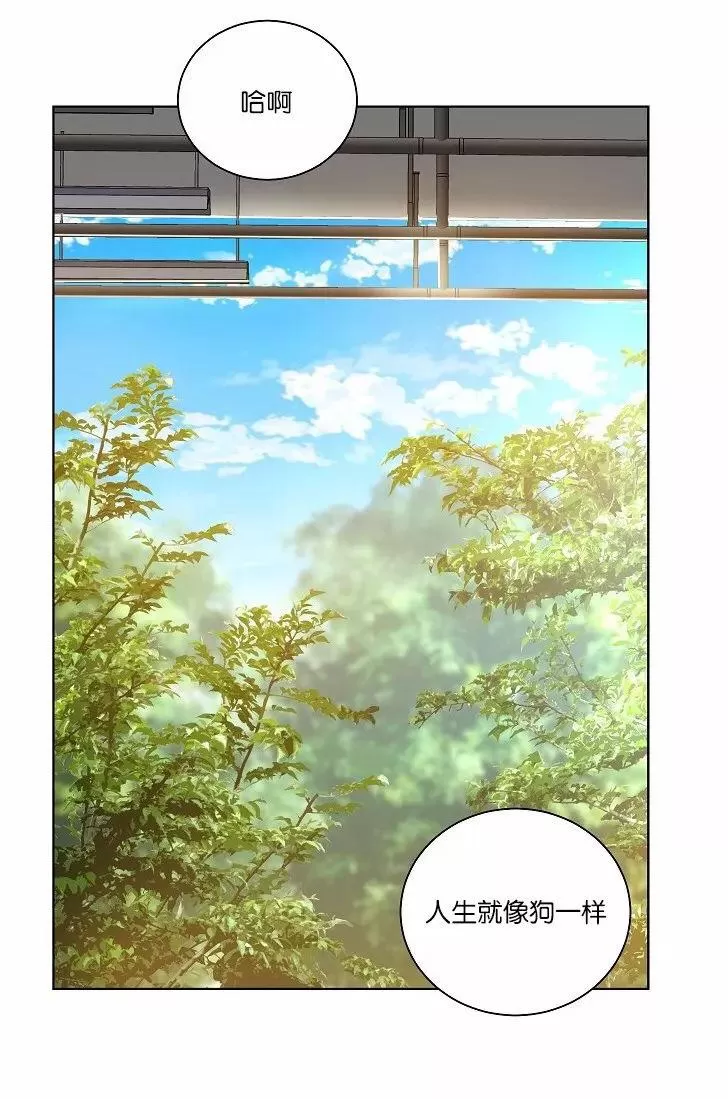 《PAID肉偿》漫画最新章节 第34-36话 免费下拉式在线观看章节第【207】张图片