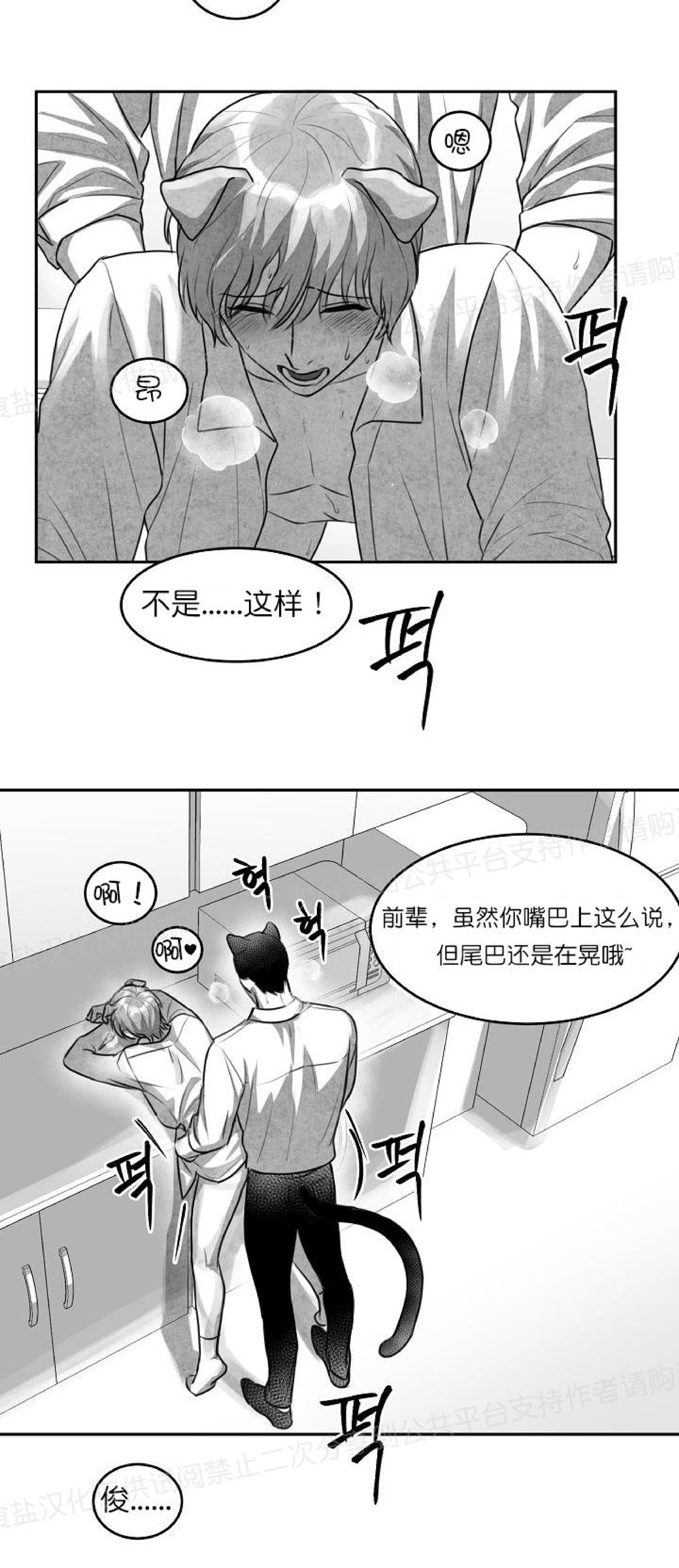 《狗狗的恋爱方法》漫画最新章节第01话免费下拉式在线观看章节第【7】张图片