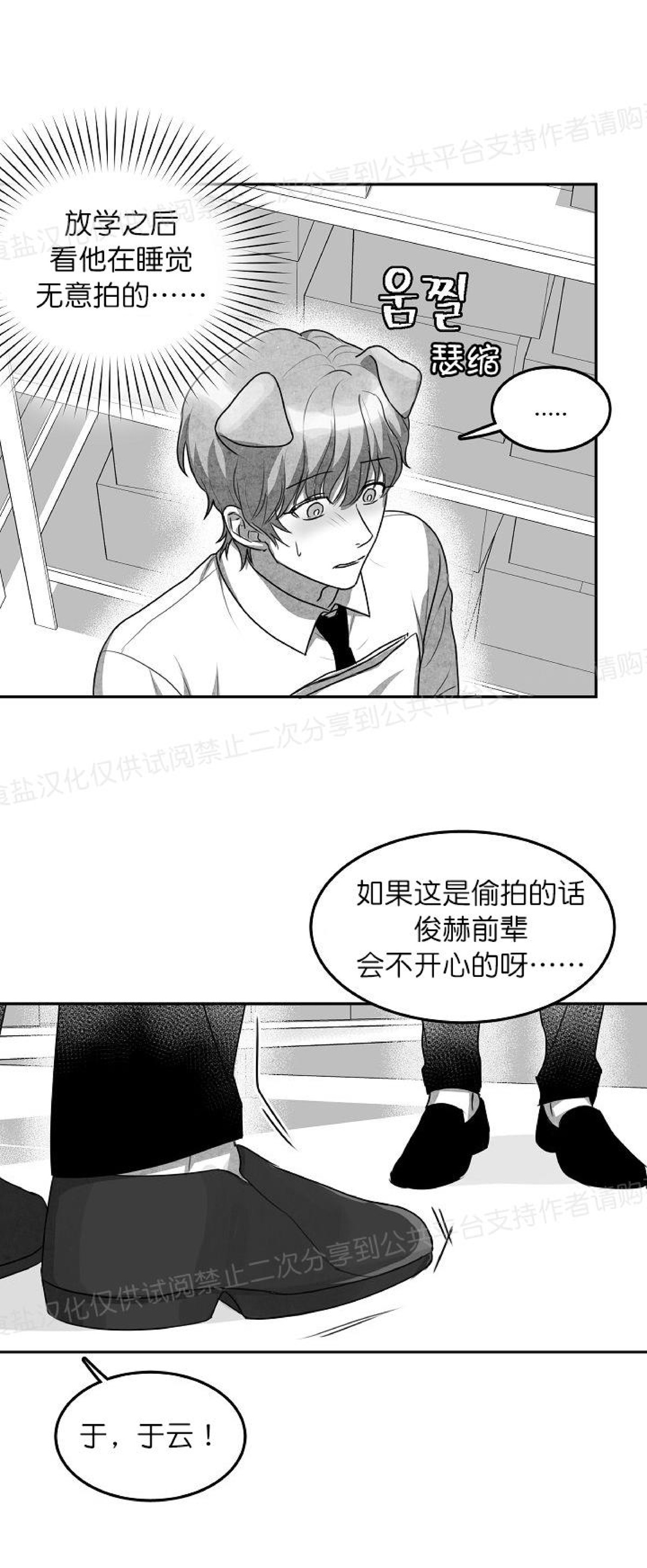 《狗狗的恋爱方法》漫画最新章节第11话免费下拉式在线观看章节第【36】张图片