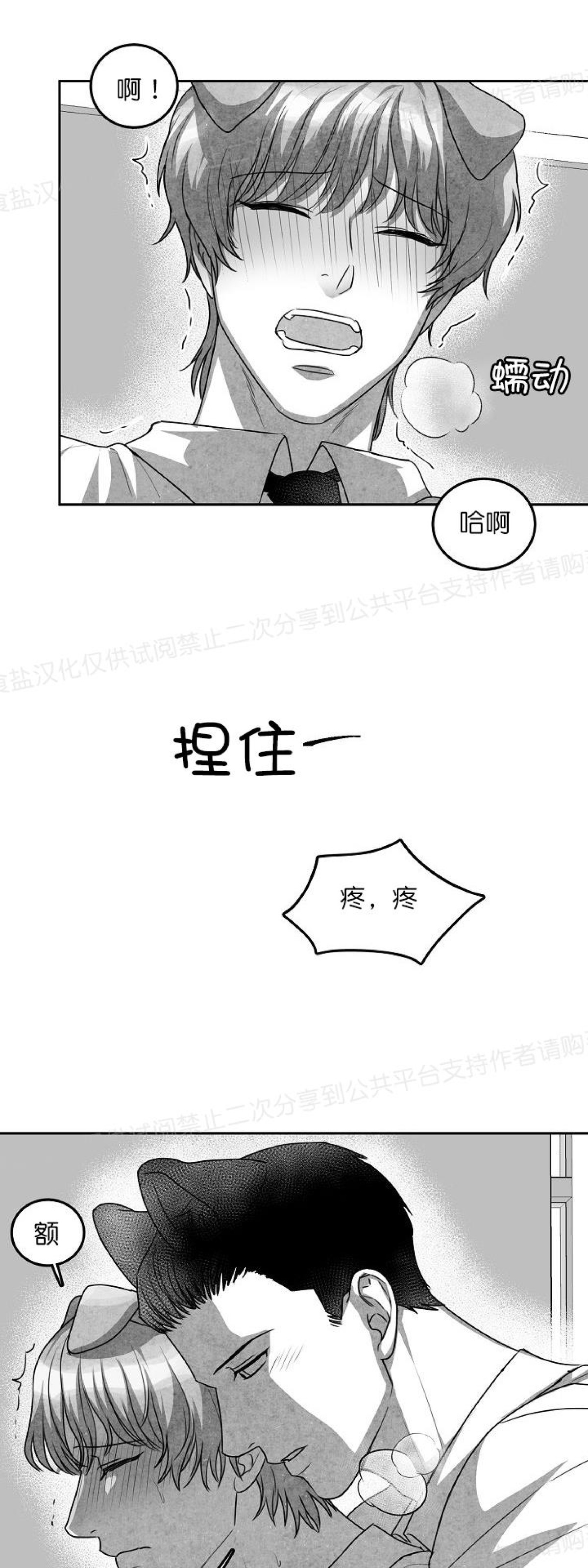 《狗狗的恋爱方法》漫画最新章节第13话免费下拉式在线观看章节第【8】张图片