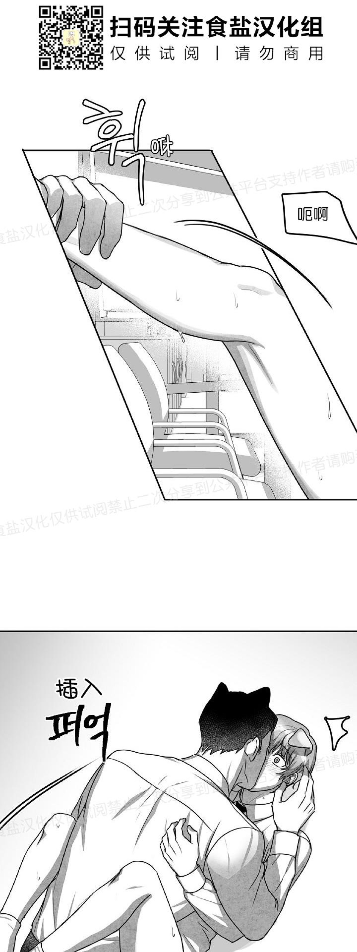 《狗狗的恋爱方法》漫画最新章节第13话免费下拉式在线观看章节第【43】张图片