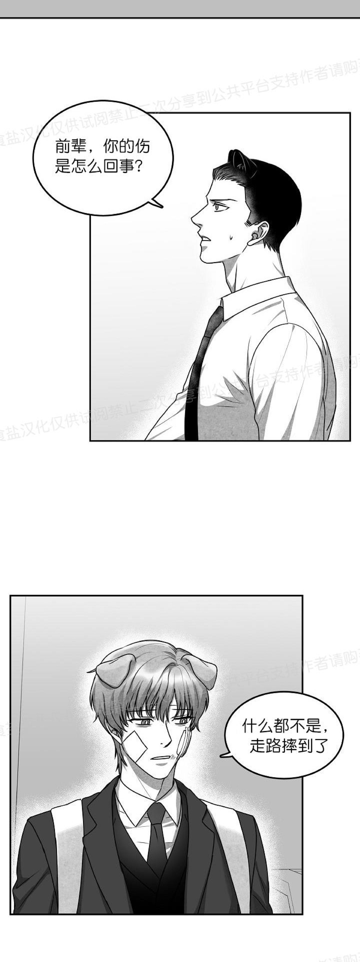 《狗狗的恋爱方法》漫画最新章节第19话免费下拉式在线观看章节第【3】张图片