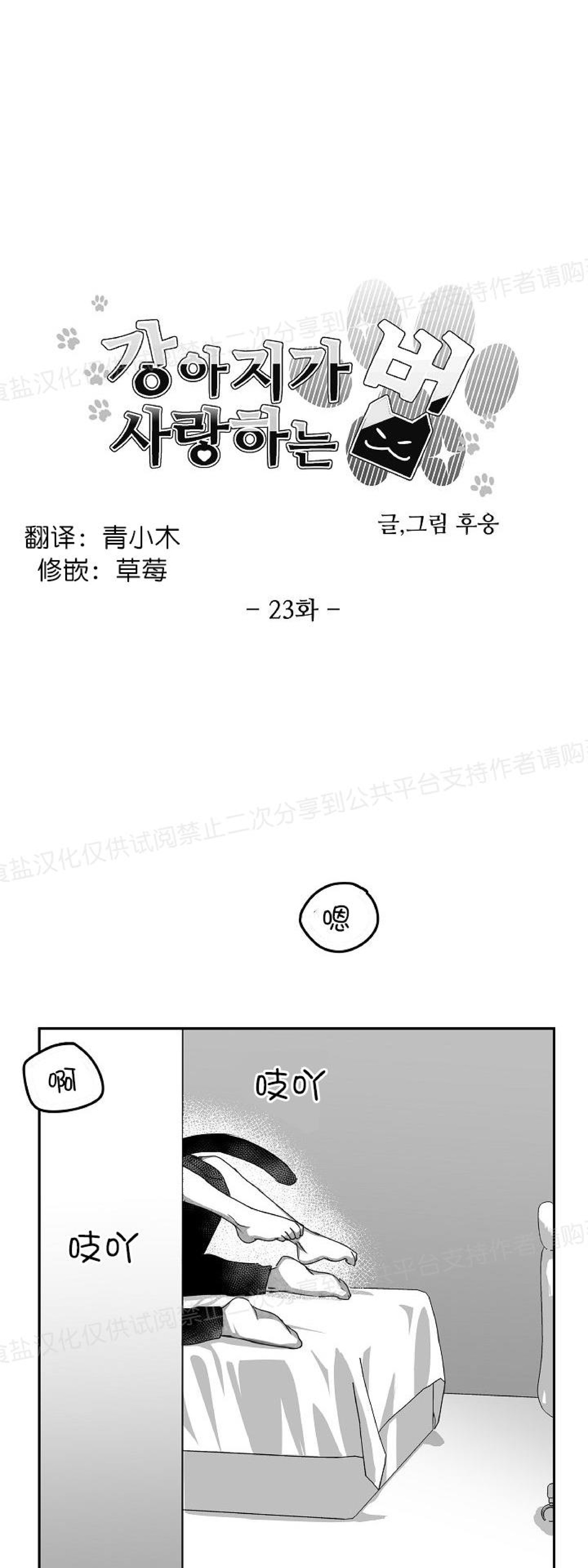 《狗狗的恋爱方法》漫画最新章节第23话免费下拉式在线观看章节第【23】张图片