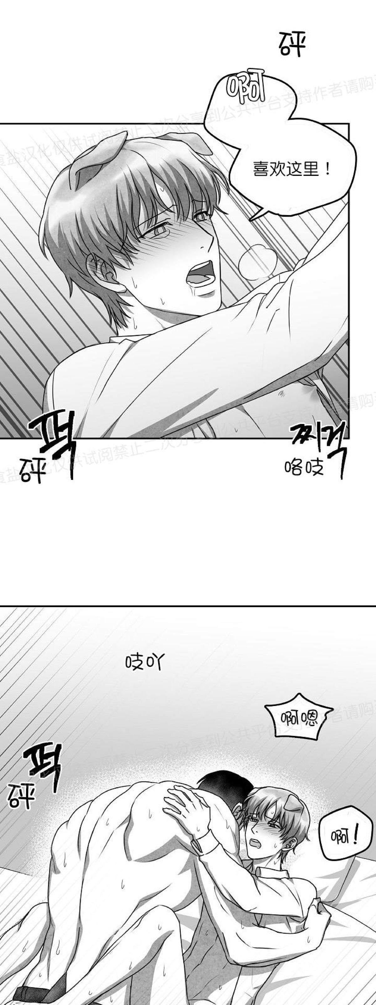 《狗狗的恋爱方法》漫画最新章节第23话免费下拉式在线观看章节第【33】张图片