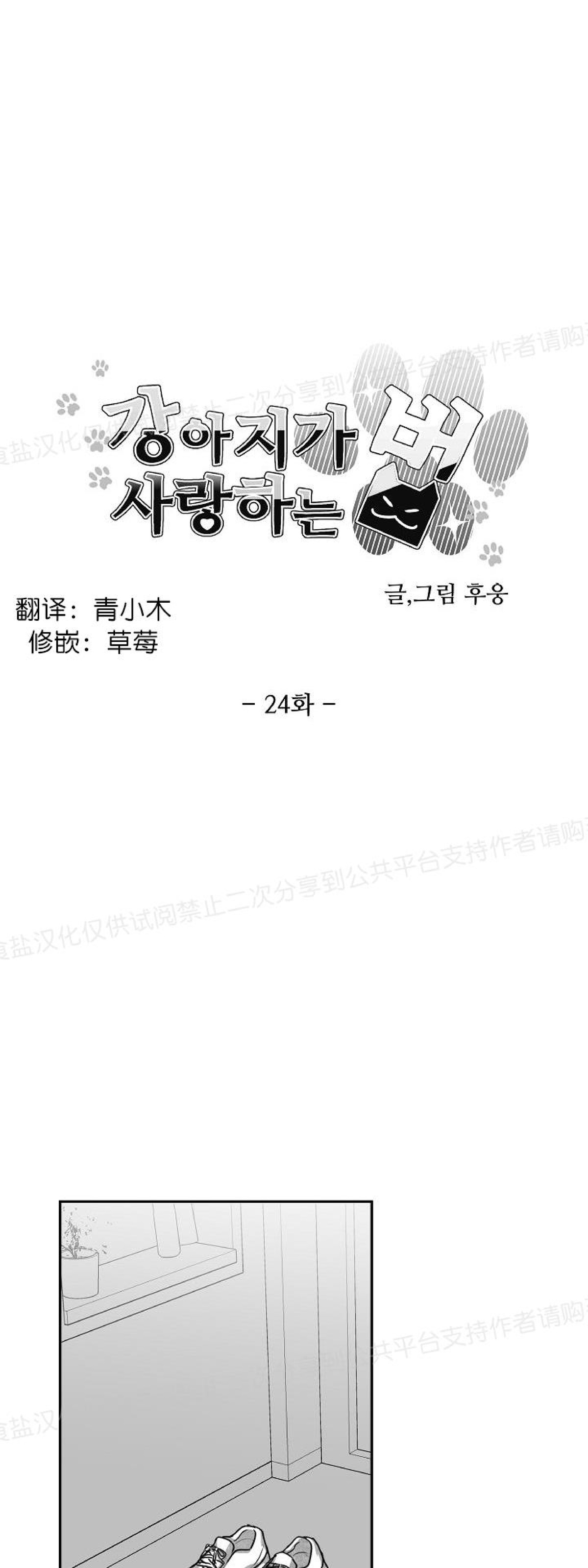 《狗狗的恋爱方法》漫画最新章节第24话免费下拉式在线观看章节第【8】张图片