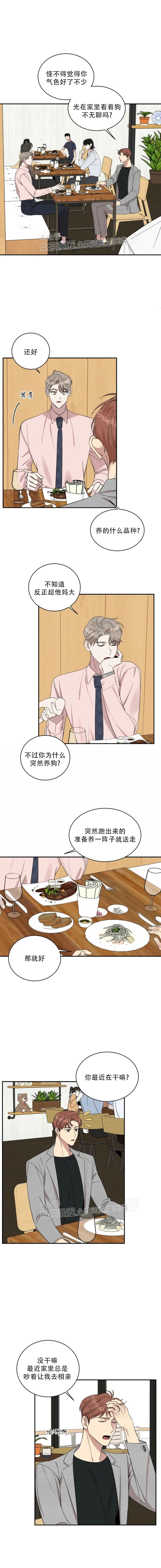 【反攻/逆攻[耽美]】漫画-（第11话）章节漫画下拉式图片-第5张图片