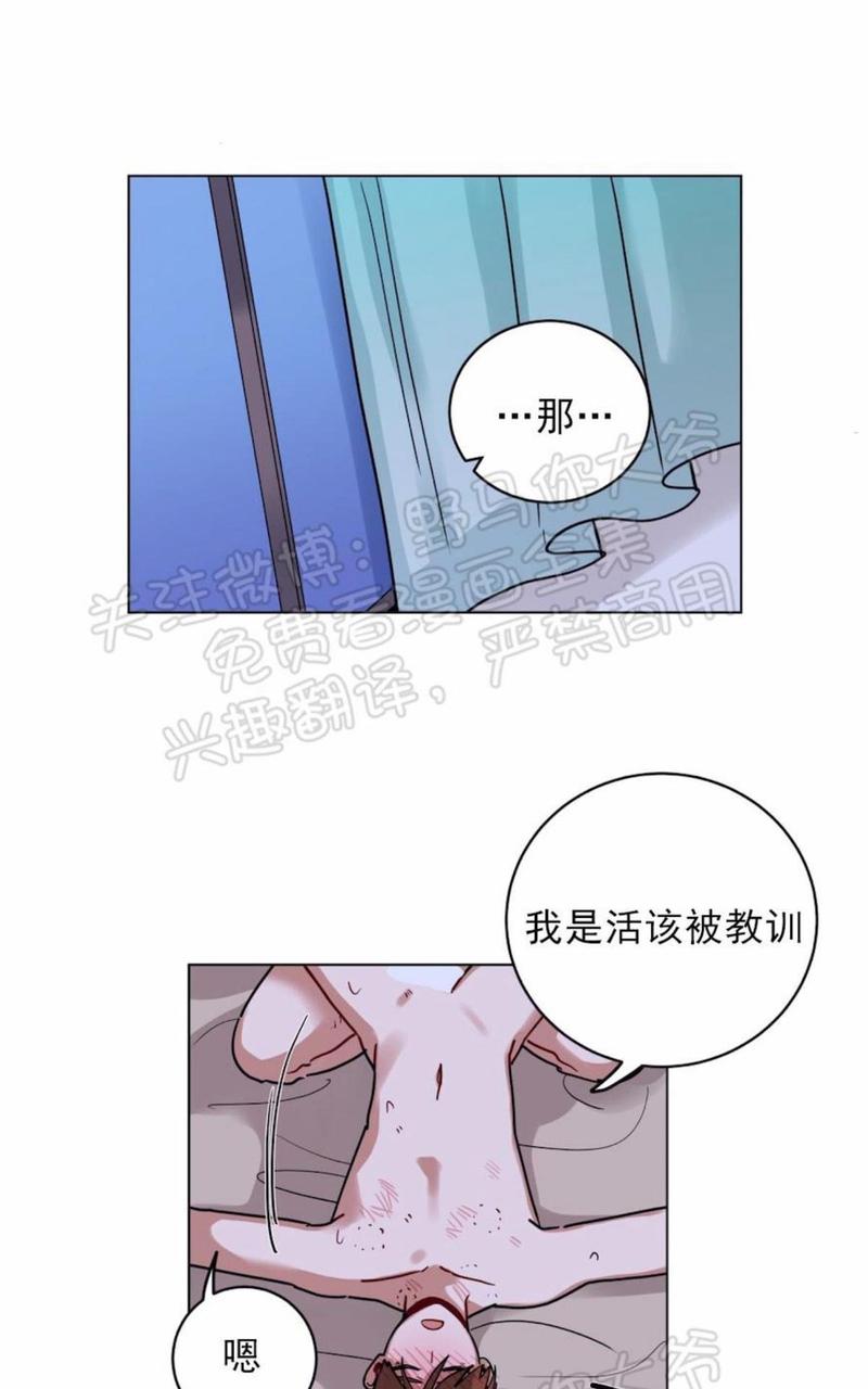 《手语》漫画最新章节 第105话 免费下拉式在线观看章节第【31】张图片