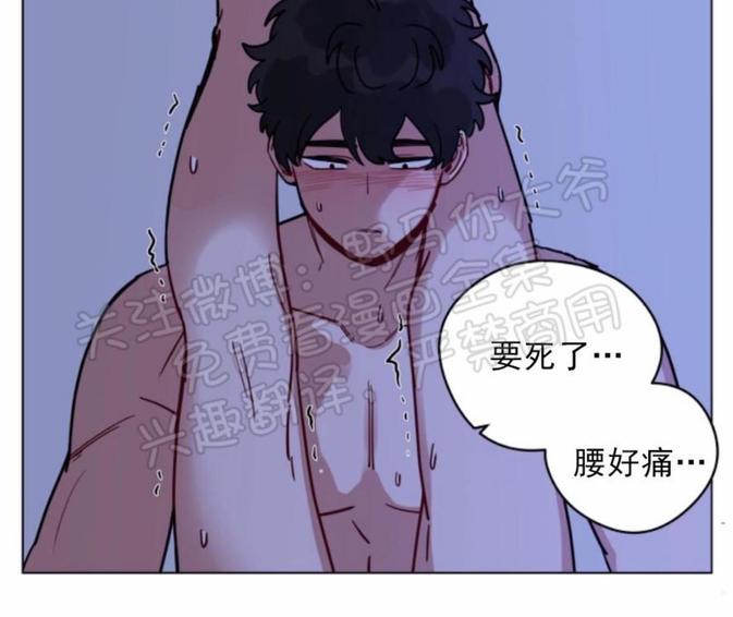 《手语》漫画最新章节 第105话 免费下拉式在线观看章节第【5】张图片