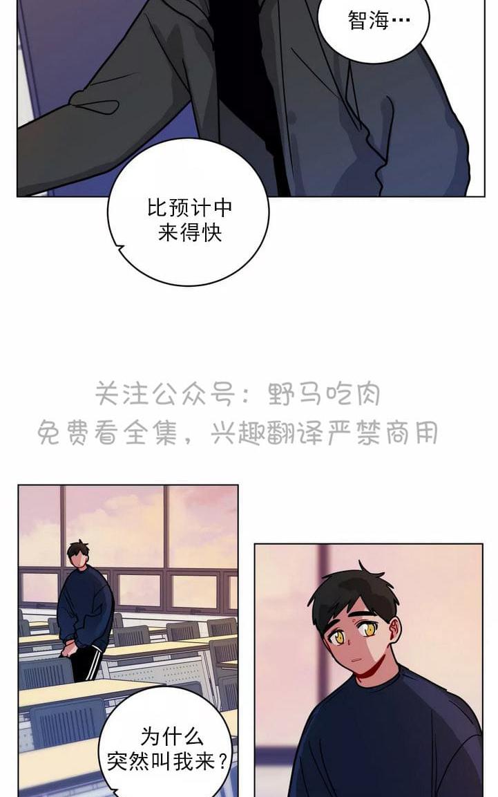 《手语》漫画最新章节 第95话 免费下拉式在线观看章节第【4】张图片