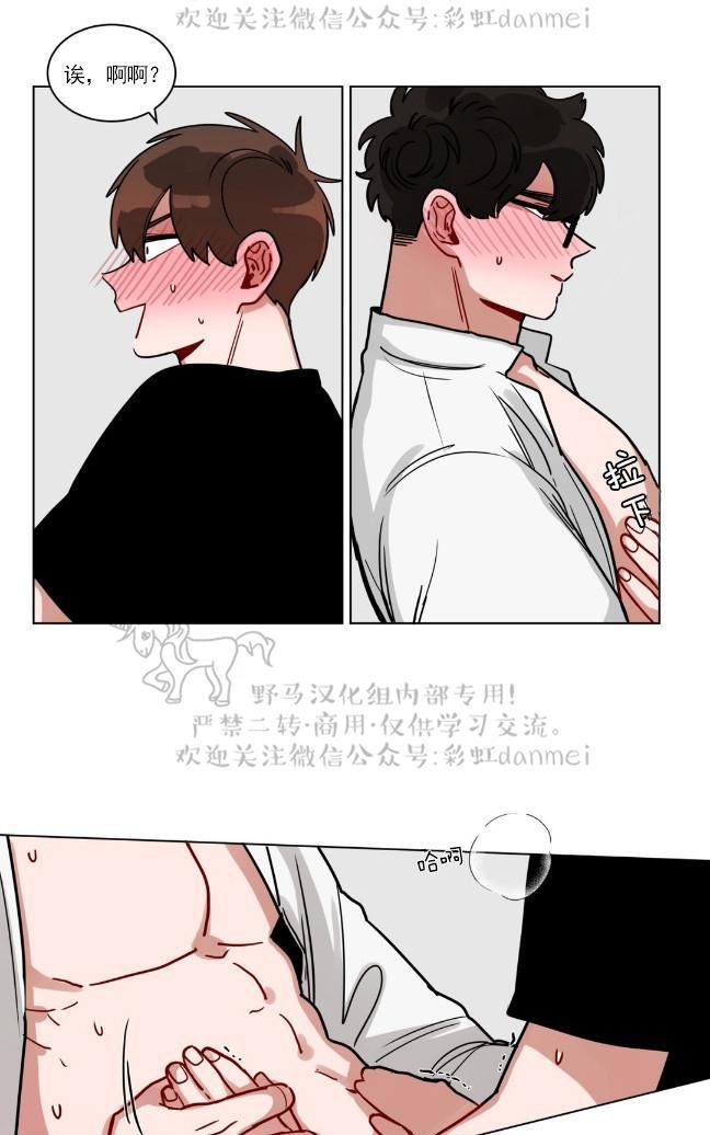 《手语》漫画最新章节 第79话 免费下拉式在线观看章节第【5】张图片