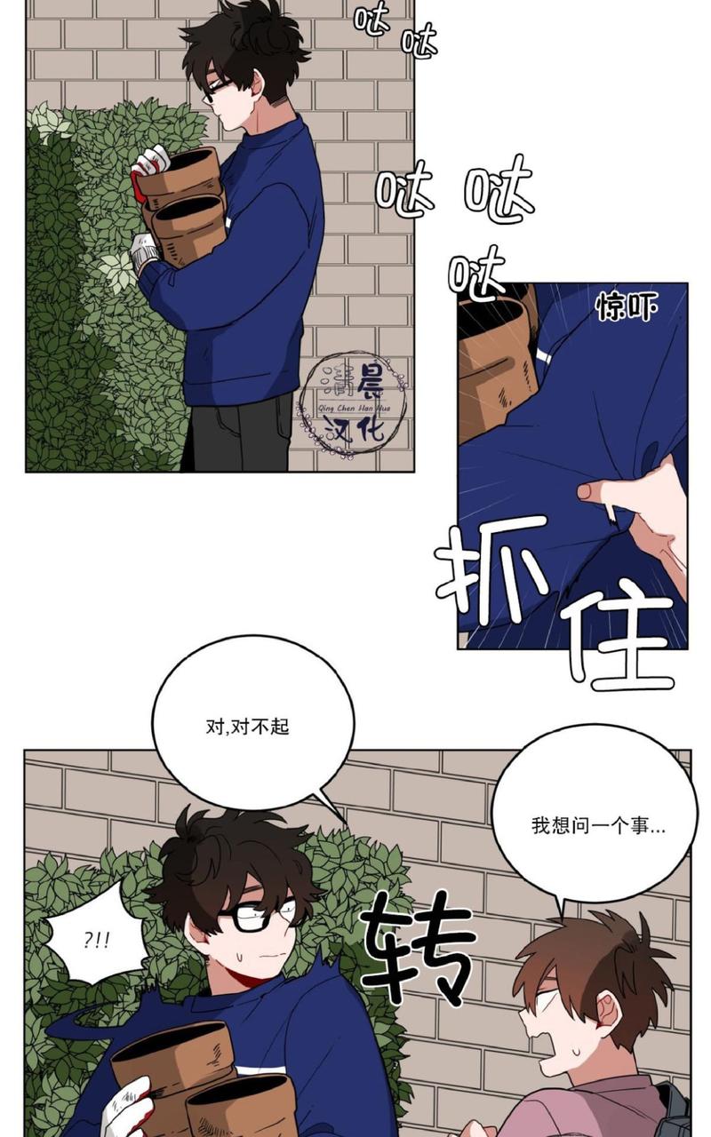 《手语》漫画最新章节 第14话 免费下拉式在线观看章节第【13】张图片