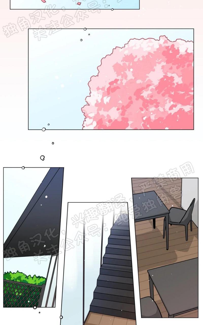 《手语》漫画最新章节第115话 完免费下拉式在线观看章节第【48】张图片