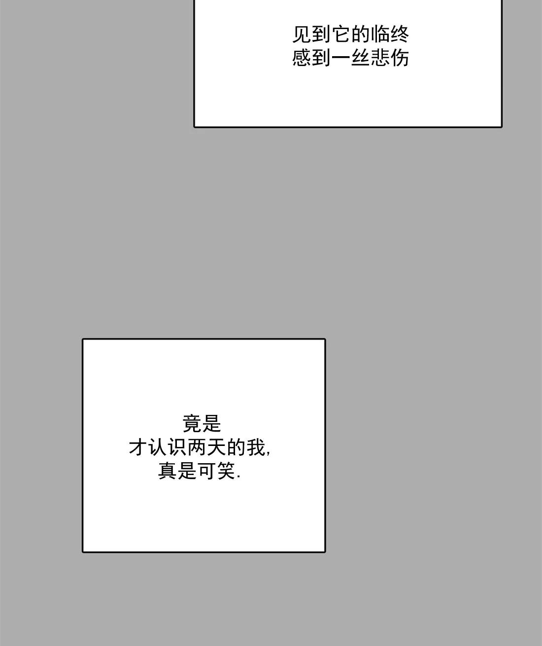 【监禁仓库[耽美]】漫画-（ 第44话 ）章节漫画下拉式图片-42.jpg