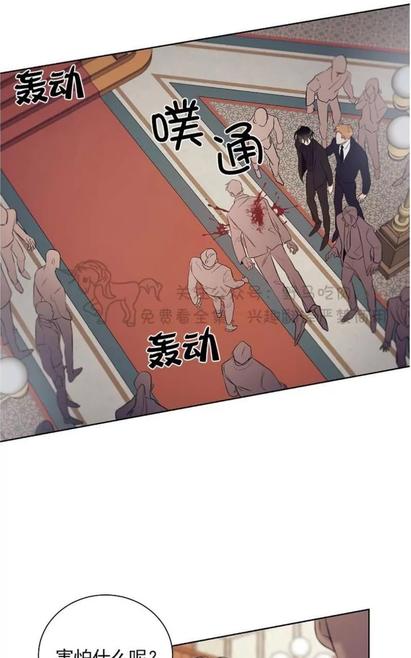 《TrapCtiy/陷阱城市》漫画最新章节 第29话 免费下拉式在线观看章节第【37】张图片