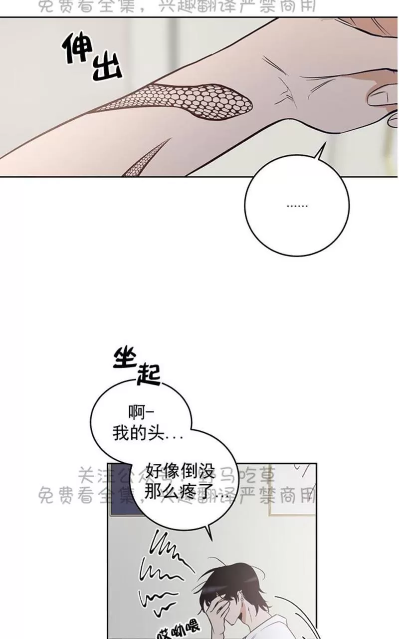 《TrapCtiy/陷阱城市》漫画最新章节 第9话 免费下拉式在线观看章节第【41】张图片