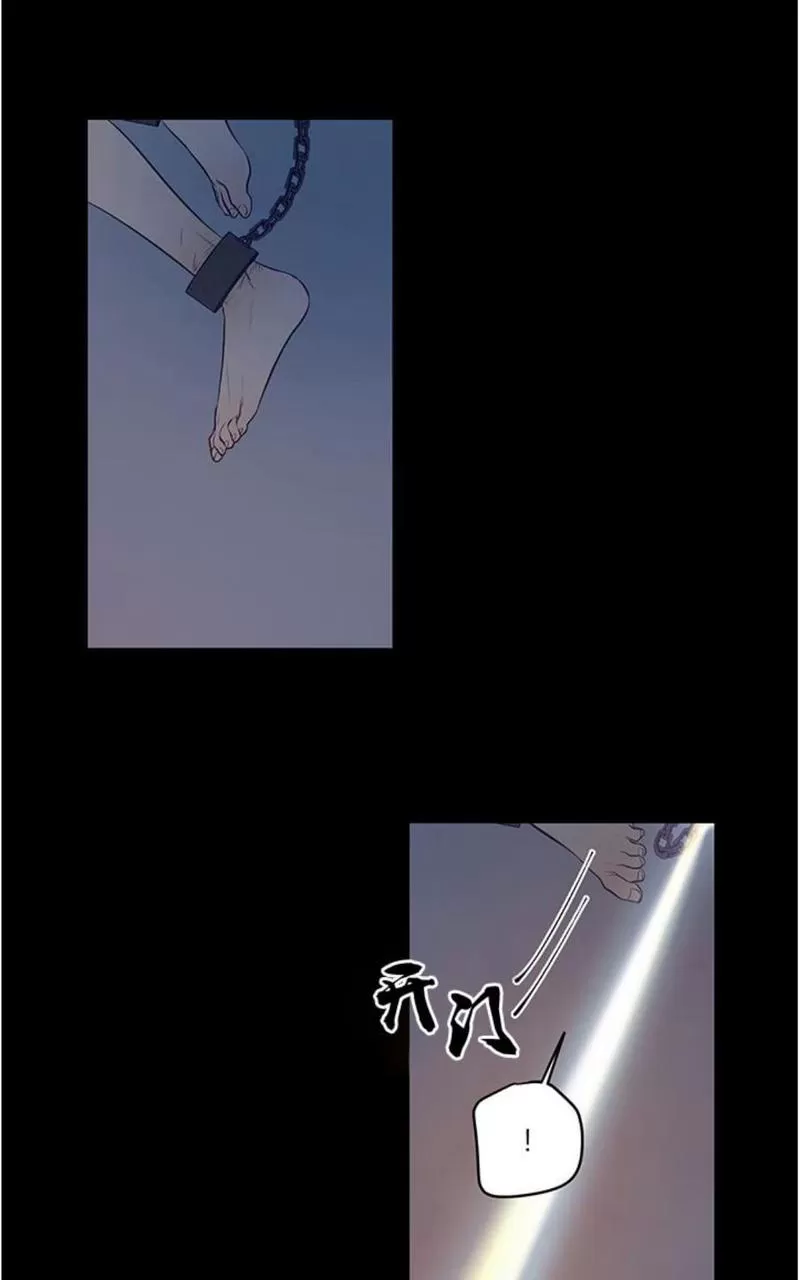 《TrapCtiy/陷阱城市》漫画最新章节 第8话 免费下拉式在线观看章节第【1】张图片