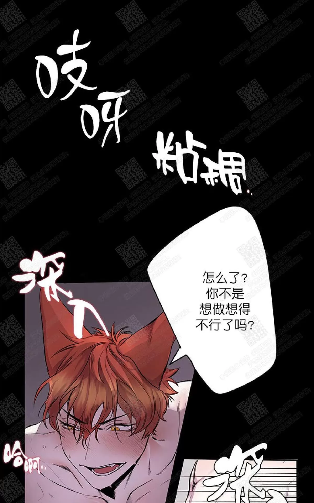 《摇尾巴》漫画最新章节 第14话 免费下拉式在线观看章节第【5】张图片