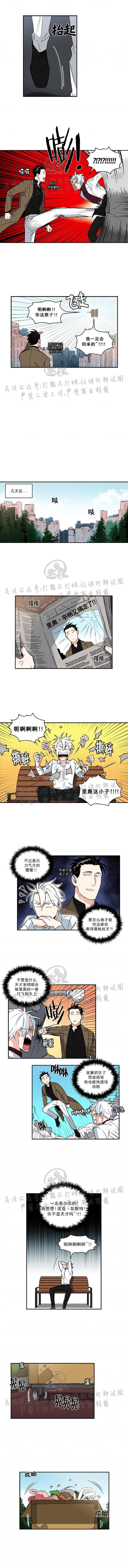 《纯情兔兔俱乐部/天使兔俱乐部》漫画最新章节第01话免费下拉式在线观看章节第【5】张图片