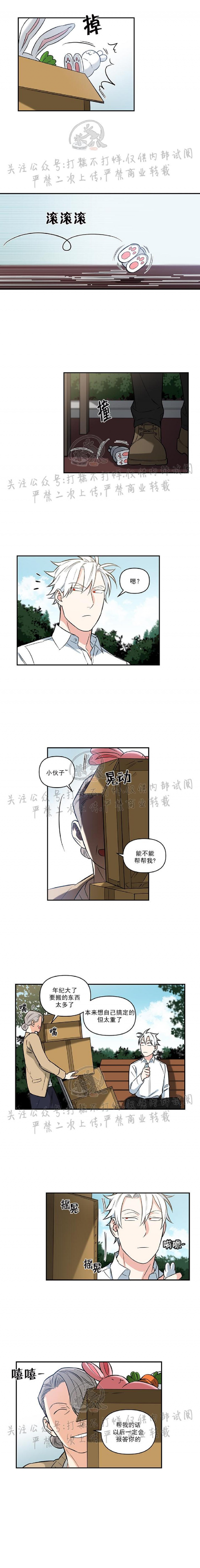 《纯情兔兔俱乐部/天使兔俱乐部》漫画最新章节第01话免费下拉式在线观看章节第【6】张图片