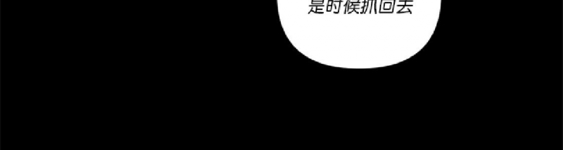 《纯情兔兔俱乐部/天使兔俱乐部》漫画最新章节第40话免费下拉式在线观看章节第【18】张图片