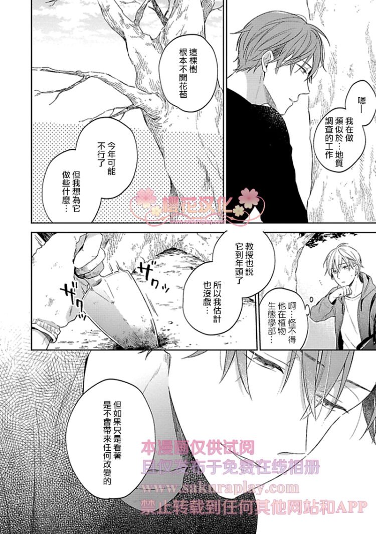 《乖僻樱花绽放美丽恋情/樱花少年恋爱了》漫画最新章节第4话免费下拉式在线观看章节第【8】张图片