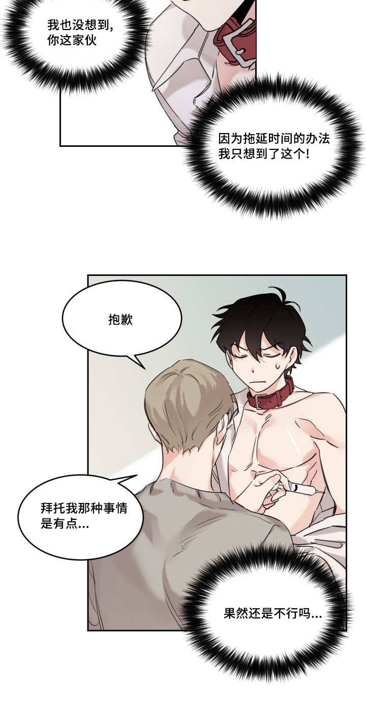 《猫的项圈》漫画最新章节第11章：给我免费下拉式在线观看章节第【2】张图片