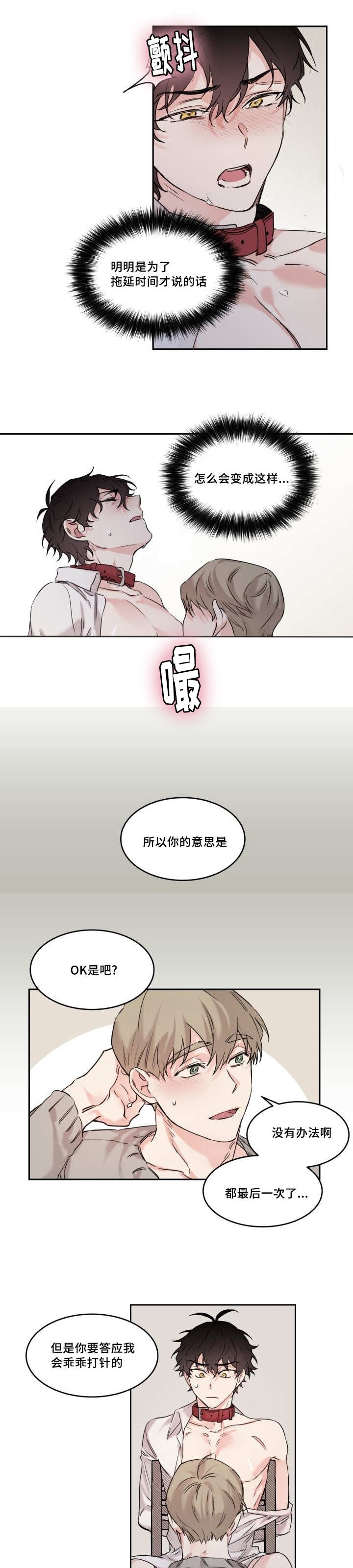 《猫的项圈》漫画最新章节第11章：给我免费下拉式在线观看章节第【5】张图片