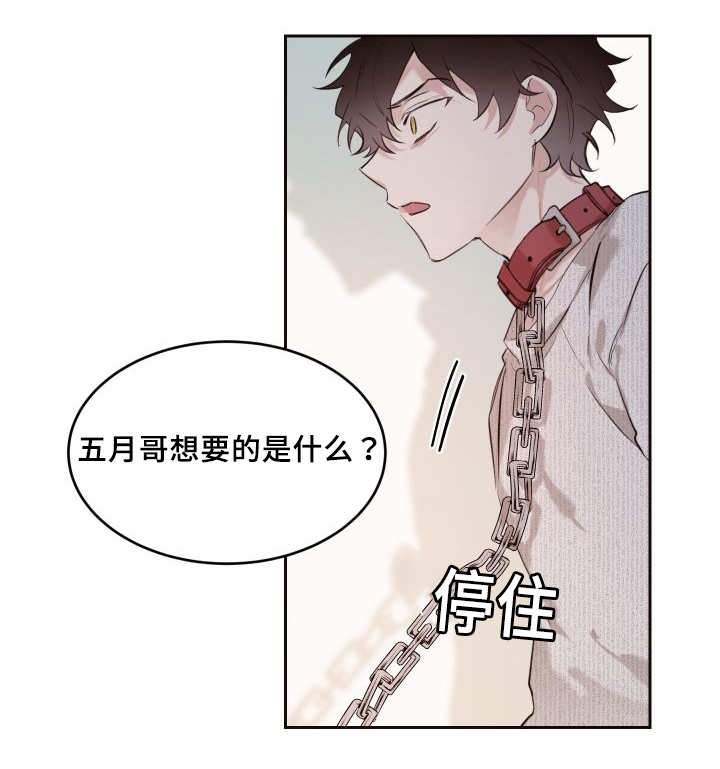 《猫的项圈》漫画最新章节第29章：完全吃醋了免费下拉式在线观看章节第【3】张图片