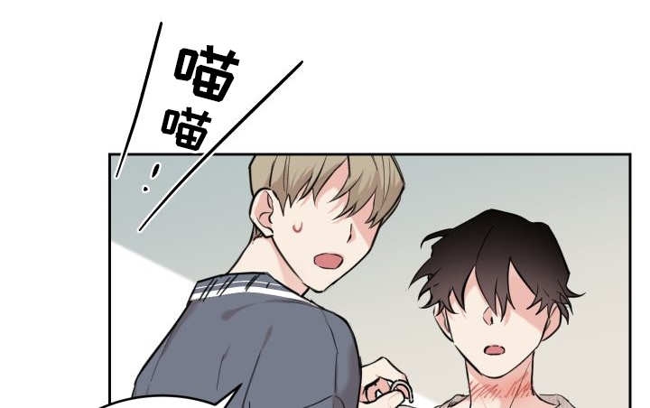 《猫的项圈》漫画最新章节第29章：完全吃醋了免费下拉式在线观看章节第【17】张图片