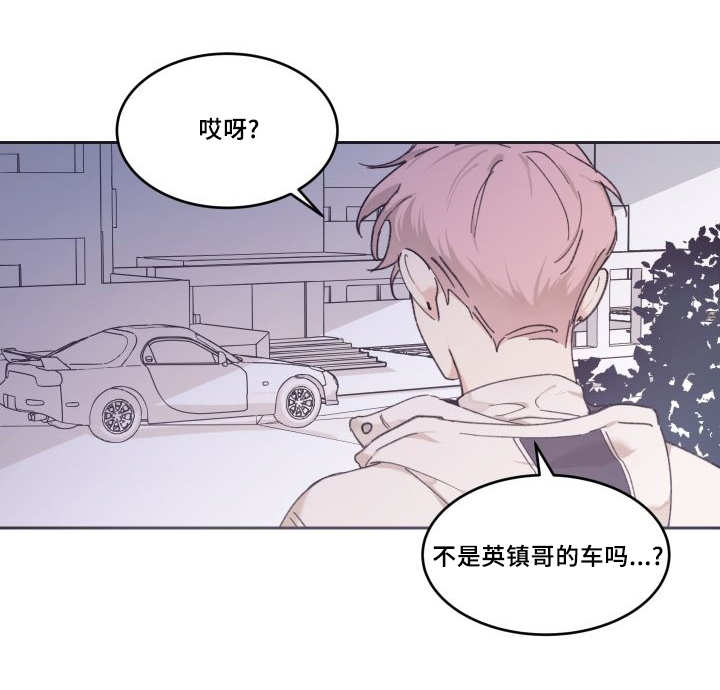 《猫的项圈》漫画最新章节第43章：小心一点免费下拉式在线观看章节第【4】张图片