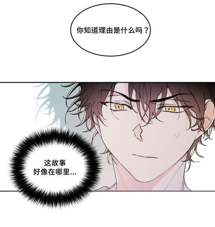 《猫的项圈》漫画最新章节第45章：你的爱人免费下拉式在线观看章节第【10】张图片