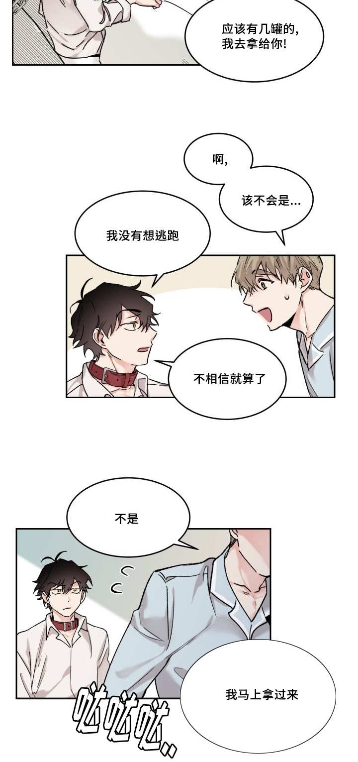 《猫的项圈》漫画最新章节第15章：不记得我免费下拉式在线观看章节第【7】张图片