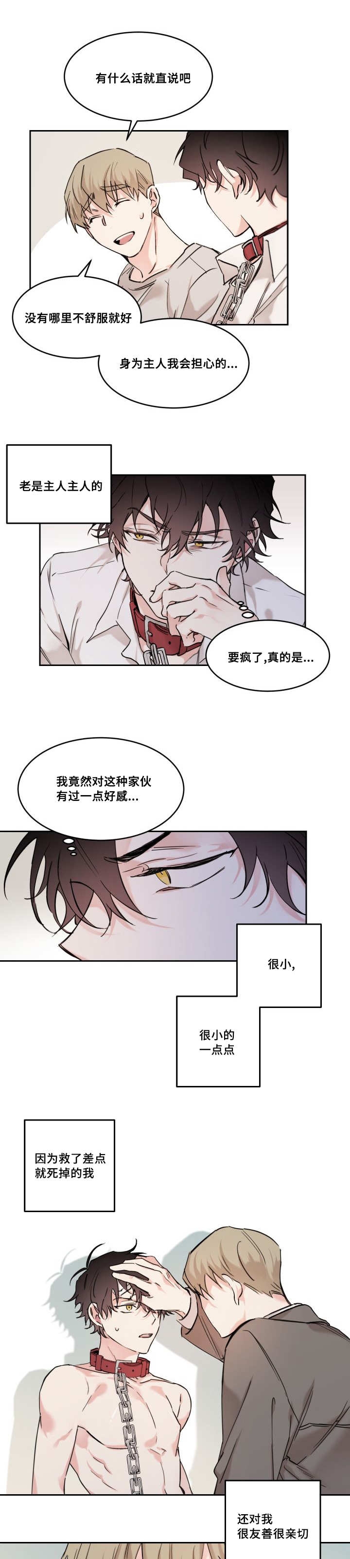 《猫的项圈》漫画最新章节第19章：要离开我吗免费下拉式在线观看章节第【5】张图片