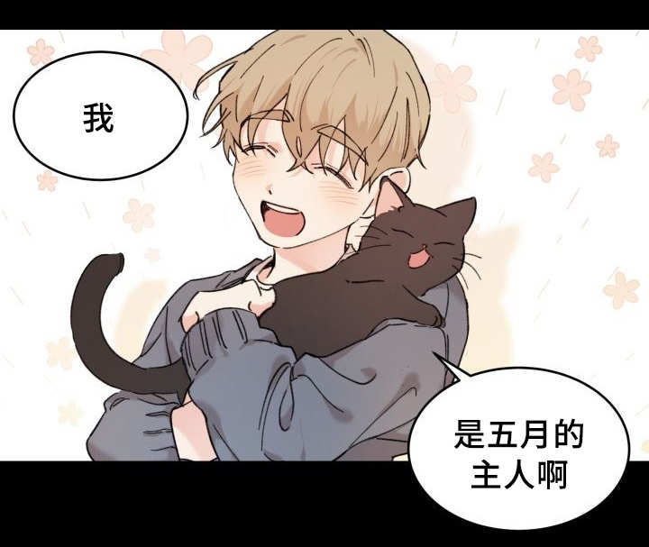 《猫的项圈》漫画最新章节第30章：我能走了吗免费下拉式在线观看章节第【20】张图片