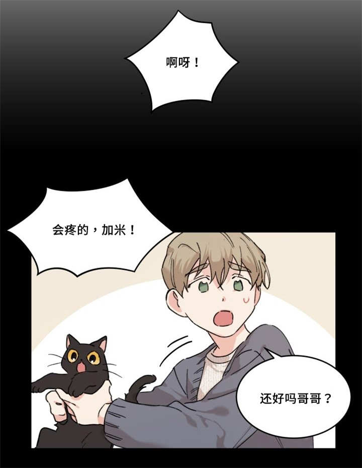 【猫的项圈[耽美]】漫画-（第30章：我能走了吗）章节漫画下拉式图片-14.jpg