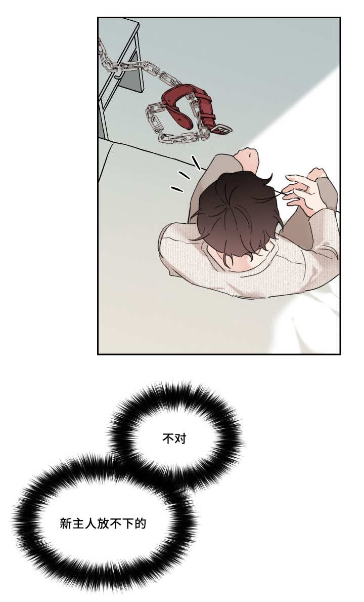 【猫的项圈[腐漫]】漫画-（第30章：我能走了吗）章节漫画下拉式图片-10.jpg